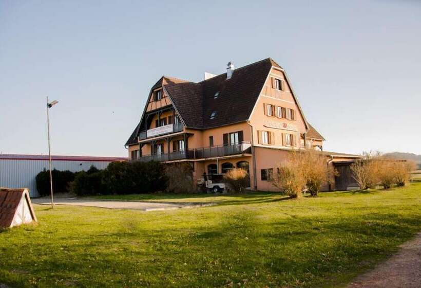 酒店 Hôtel L écu D Alsace
