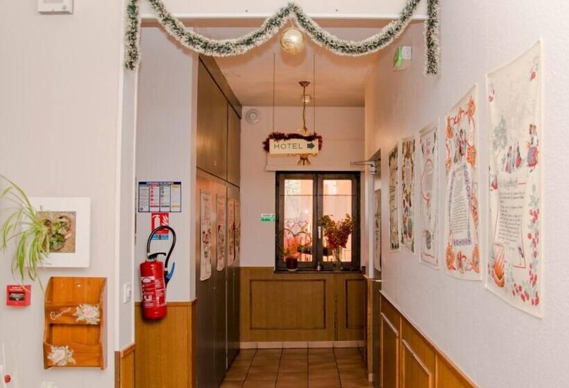 酒店 Hôtel L écu D Alsace