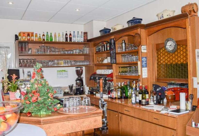 酒店 Hôtel L écu D Alsace