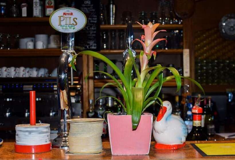 酒店 Hôtel L écu D Alsace