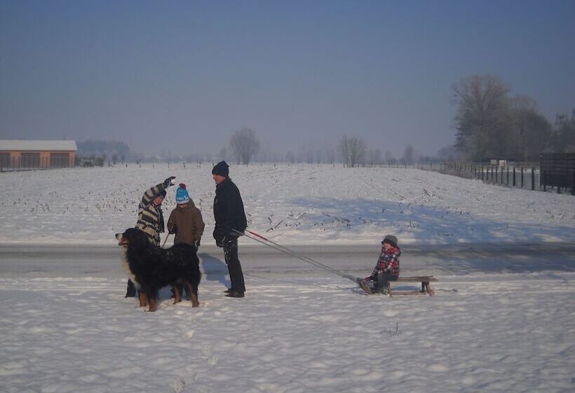 酒店 Huis Bij De Lieve Bed & Breakfast