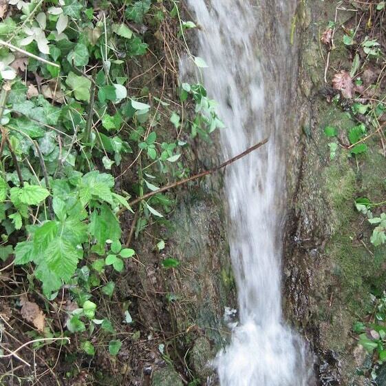 호텔 Il Mio Rifugio