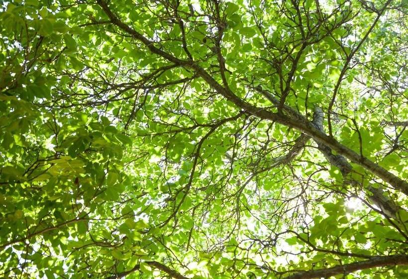 בית מלון כפרי Lodge Andino El Ingenio