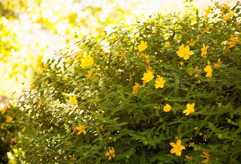 בית מלון כפרי Lodge Andino El Ingenio