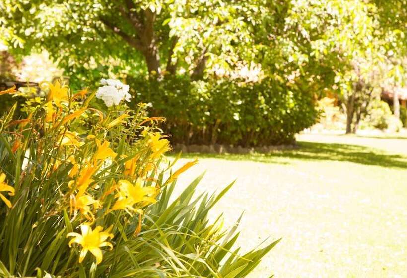 בית מלון כפרי Lodge Andino El Ingenio