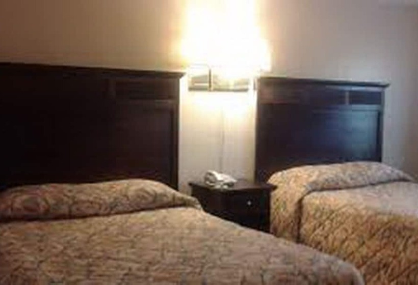 Отель Loyalty Inn