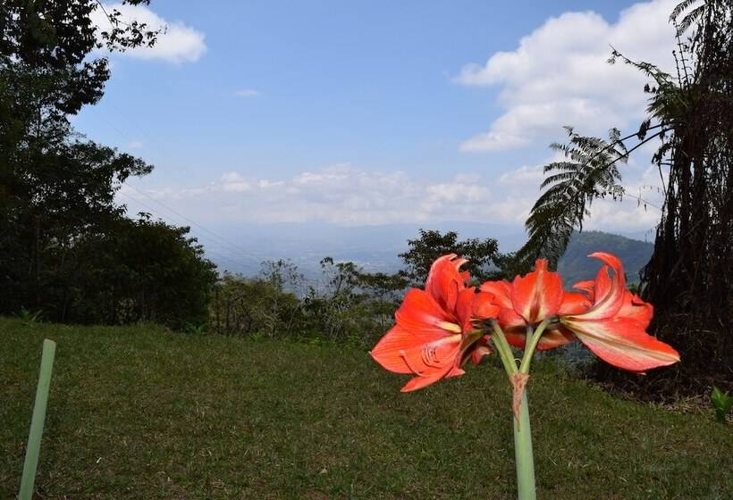 فندق Mirador Valle Del General