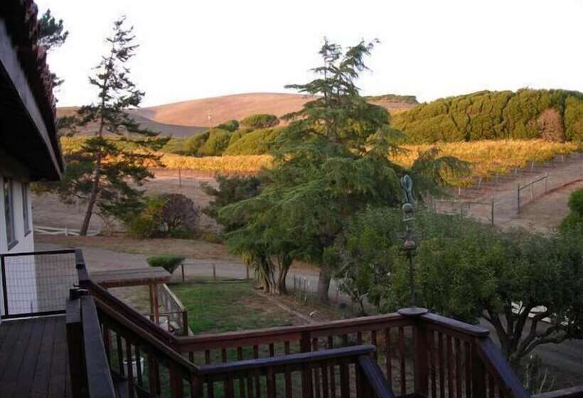 酒店 Point Reyes Vineyard Inn