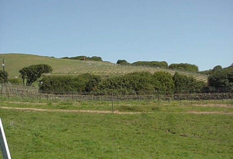 酒店 Point Reyes Vineyard Inn
