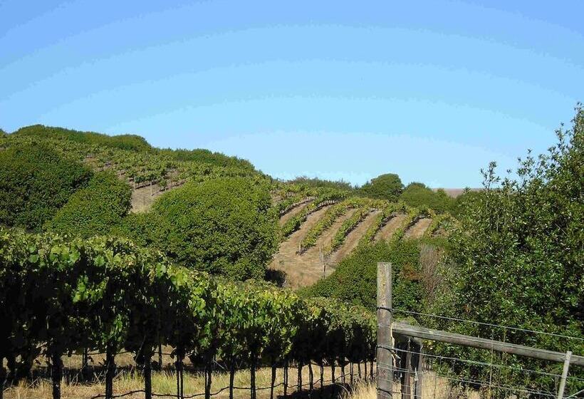 酒店 Point Reyes Vineyard Inn