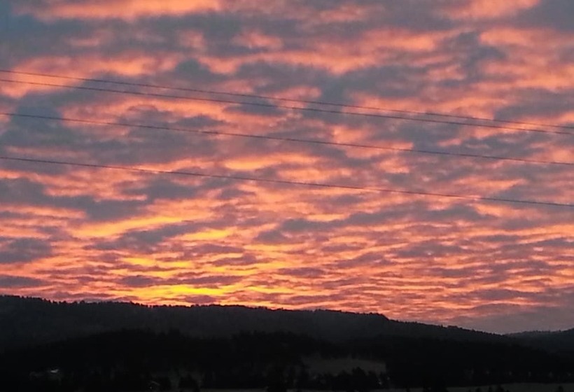 فندق Sawin  Logs Inn