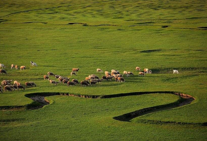 فندق Taraklı Termal Suite