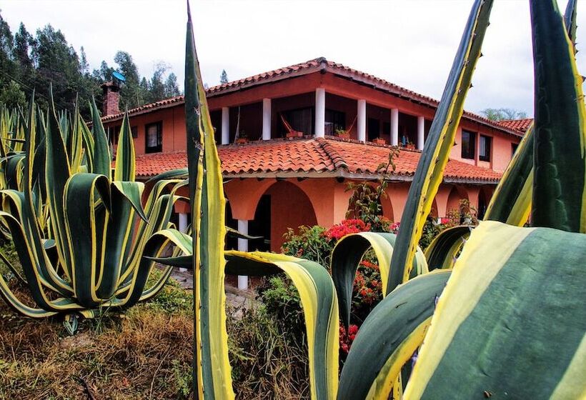 ホテル Termales El Batán