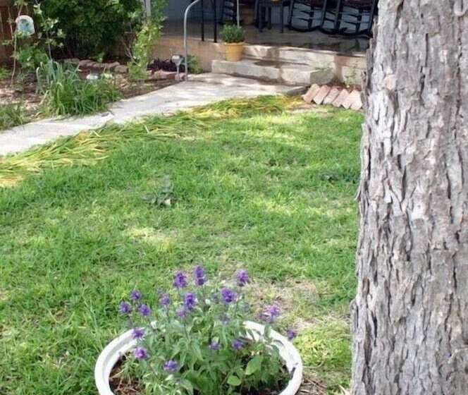 酒店 The B&b S Of Monarc Ranch