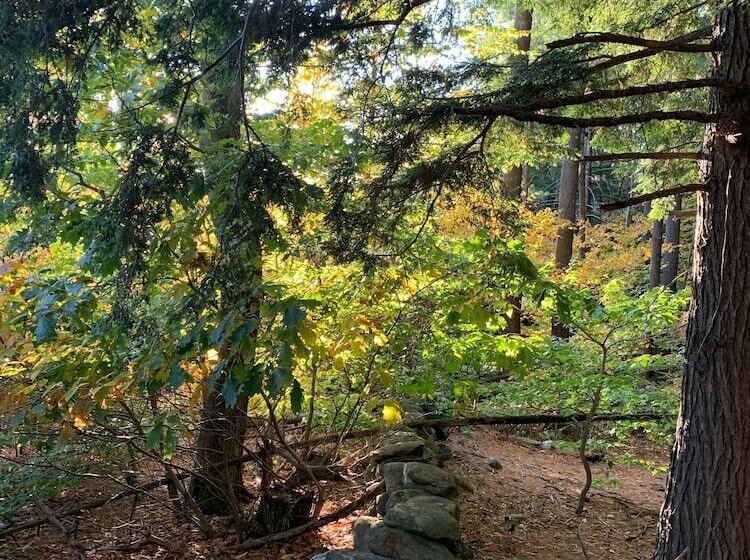 فندق The Birchwood Inn