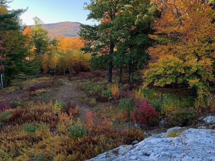 فندق The Birchwood Inn