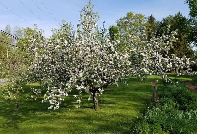 فندق The Farmstand Bed & Breakfast