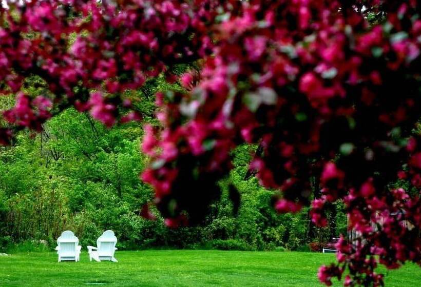 فندق Three Mountain Inn