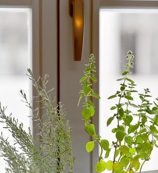 Herbal Hotel Wrocław