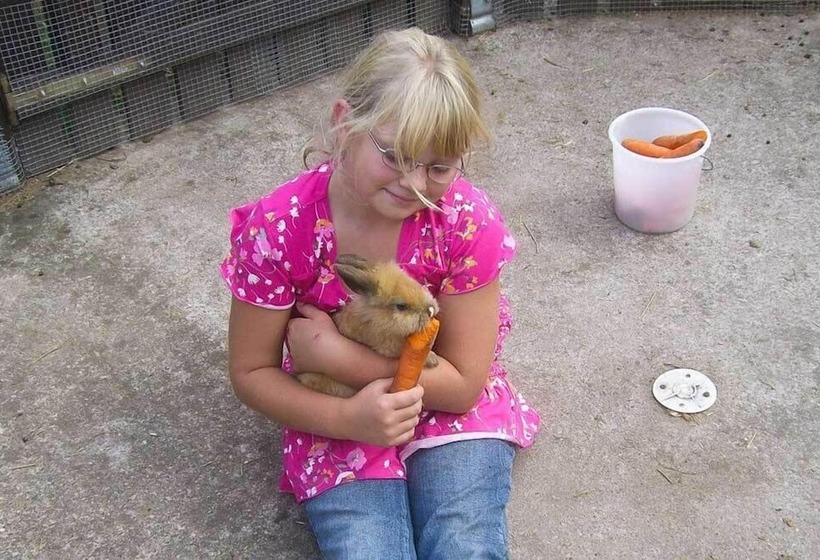 호텔 Landgasthof Probstei Zella