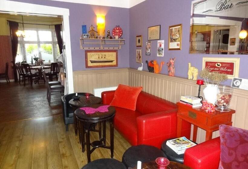 בית מלון כפרי Pensjonat U Kota Wasyla