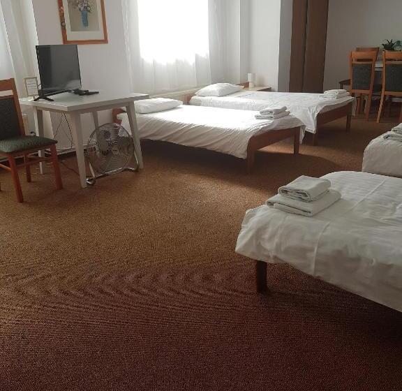 فندق U Zygmuntów