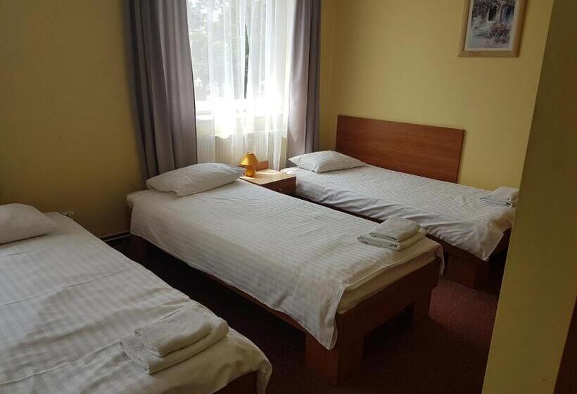 فندق U Zygmuntów