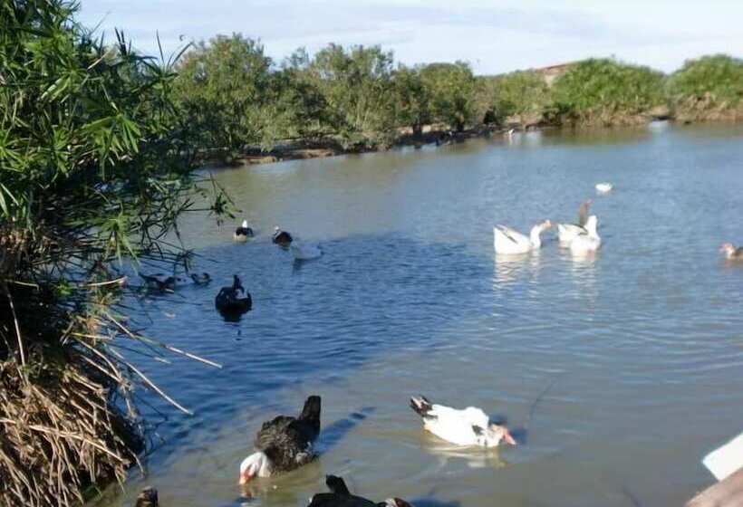 Отель Monte Da Chalaça