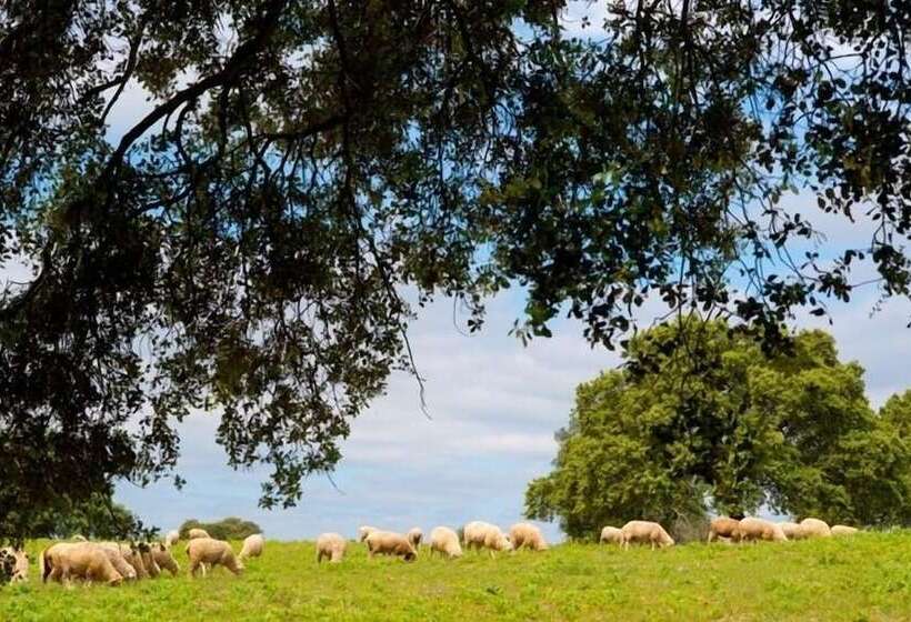 هتل Monte Da Chalaça