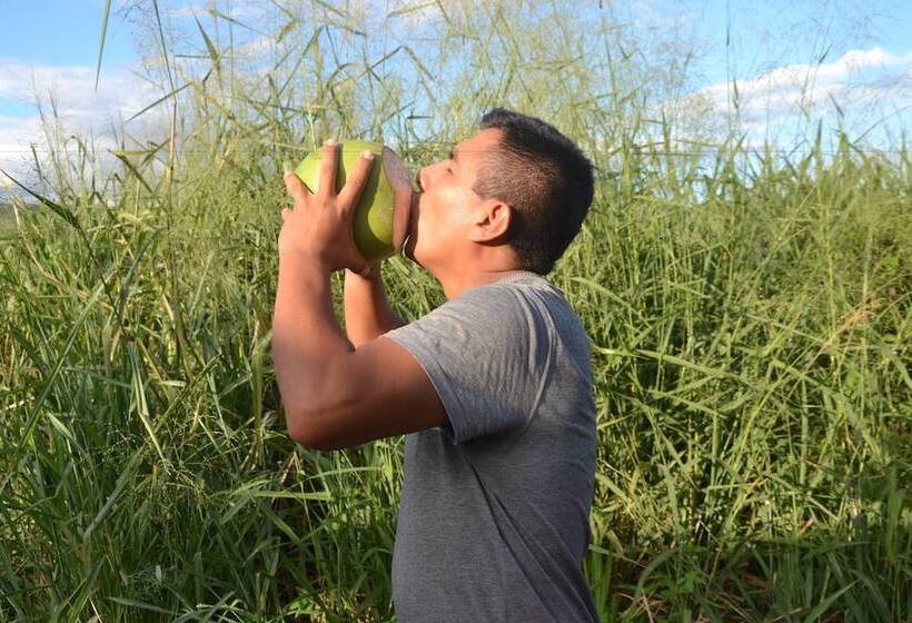 هتل Suyox Tarapoto