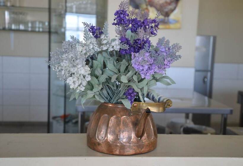 هتل Suyox Tarapoto