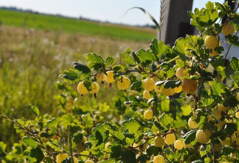 Отель Villa Sandby Bed And Breakfast