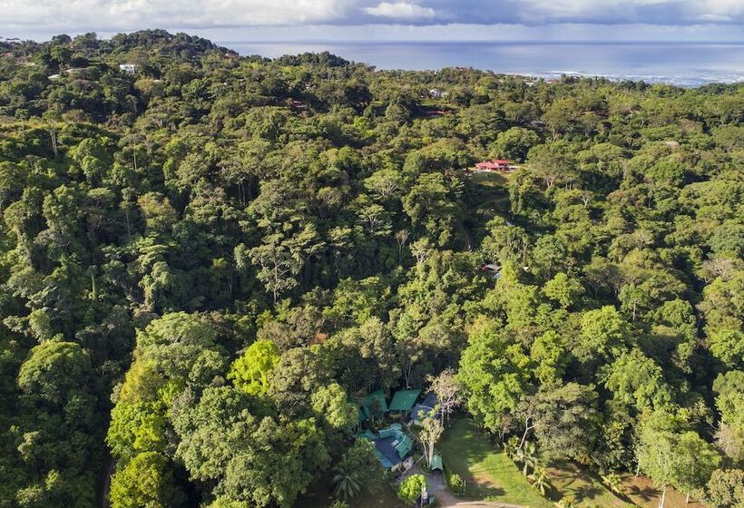 فندق Yabá Chiguí Lodge