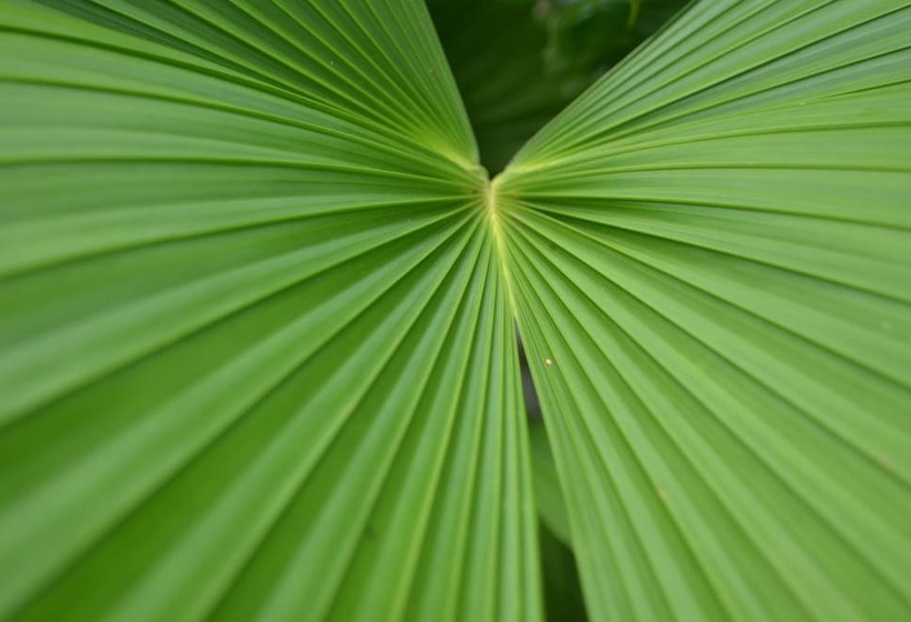 فندق Yabá Chiguí Lodge