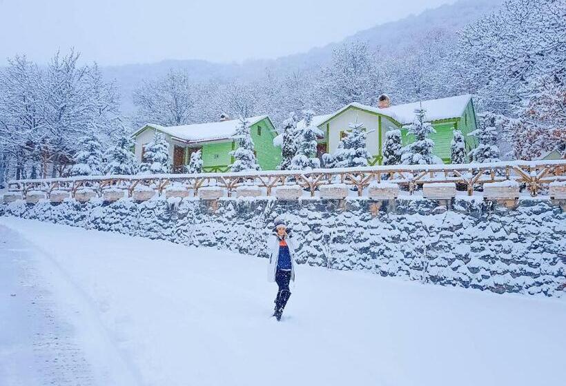 Alva Hotel & Spa