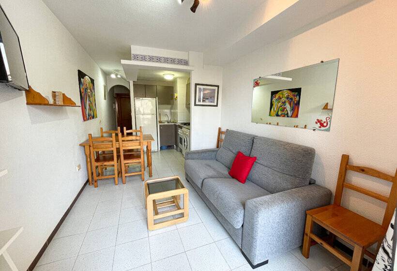 Apartamentos 3000 Marina D Or