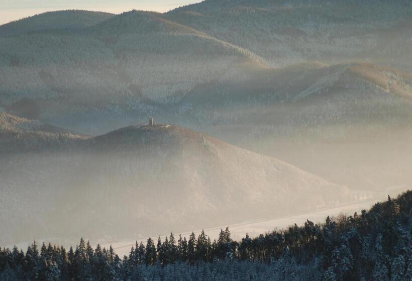 צימר Cottage 1956   Maison D Hôtes