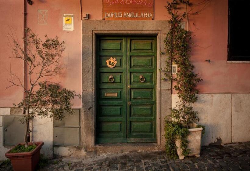 צימר Domus Angularia