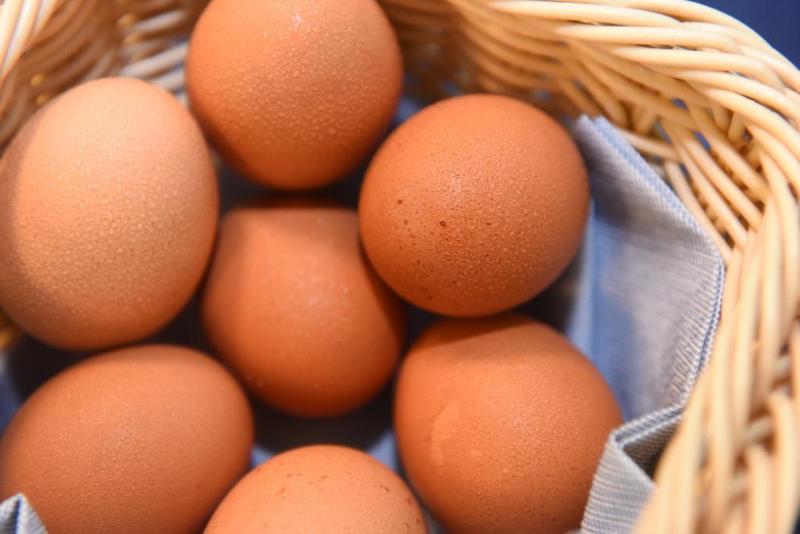 Amadei Hotel Figaro & Apartments