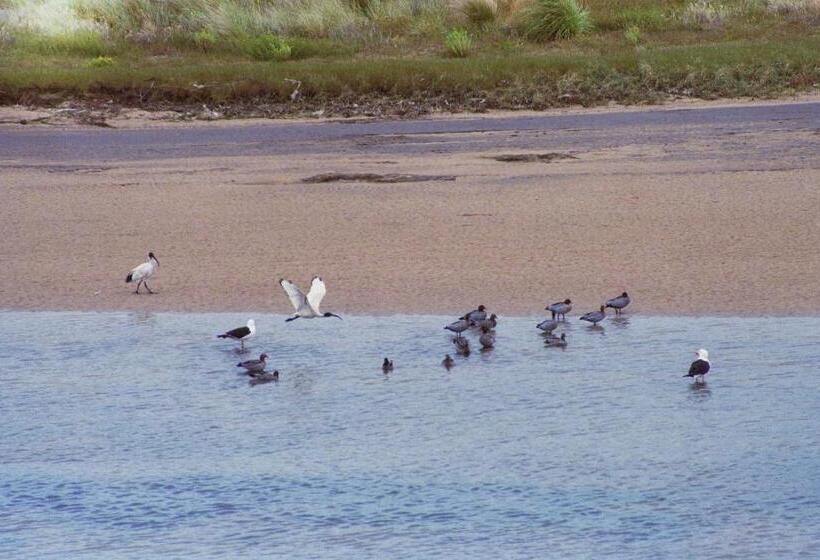 فندق Apollo Bay Guest House