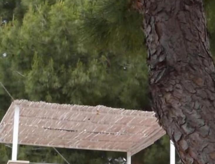 Отель Aria Di Mare