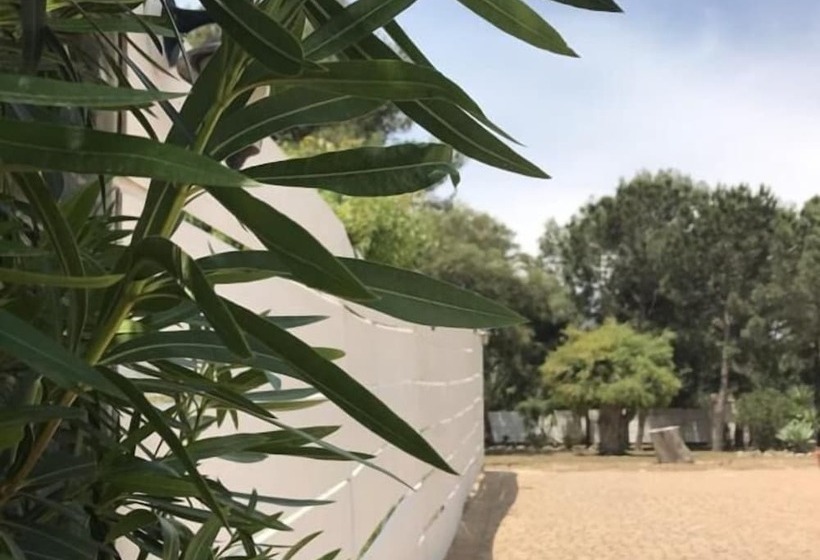 Отель Aria Di Mare