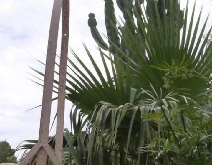 Отель Aria Di Mare