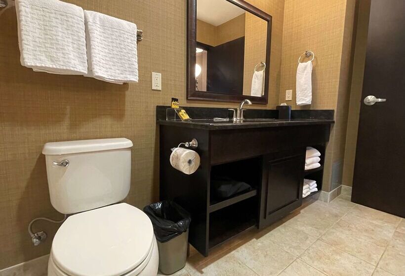 בית מלון כפרי Best Western Plus Okotoks Inn & Suites