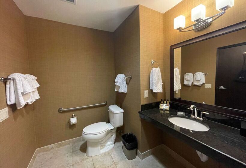 فندق Best Western Plus Okotoks Inn & Suites