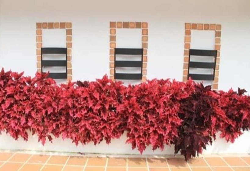 هتل Campestre Duranta