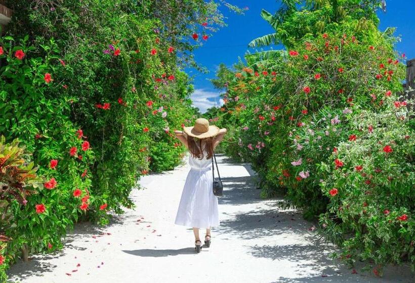 Comfort Hotel Ishigaki Island