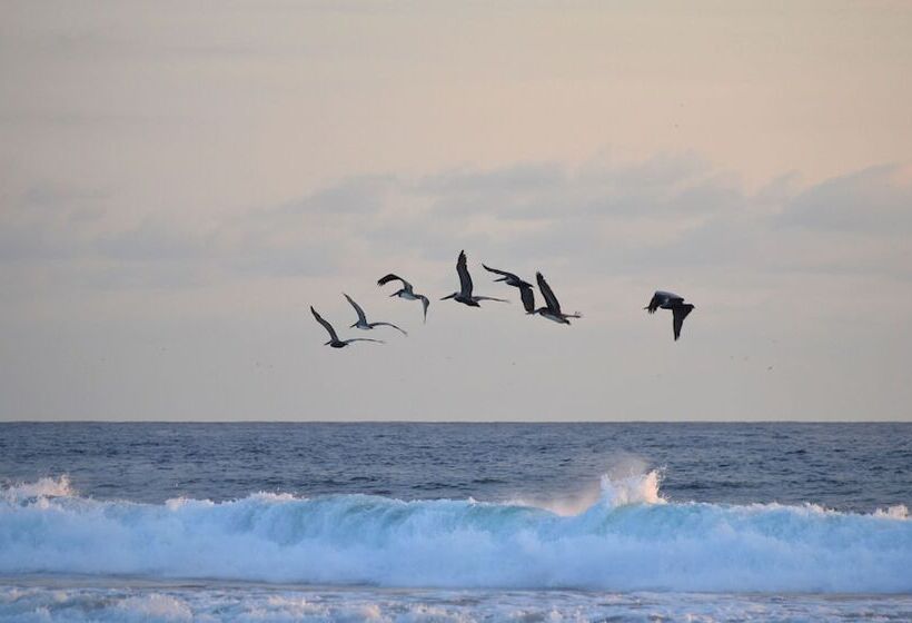 ホテル Concierge Plaza San Rafael