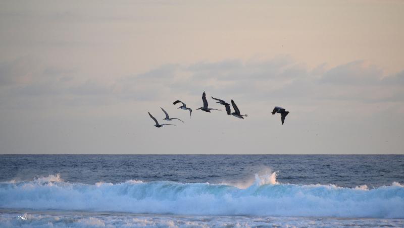 ホテル Concierge Plaza San Rafael