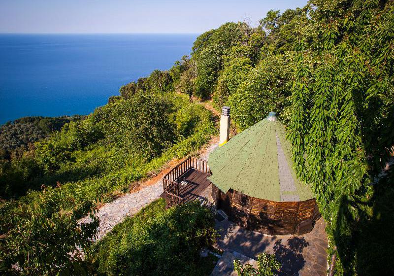 Dohos Hotel Experience